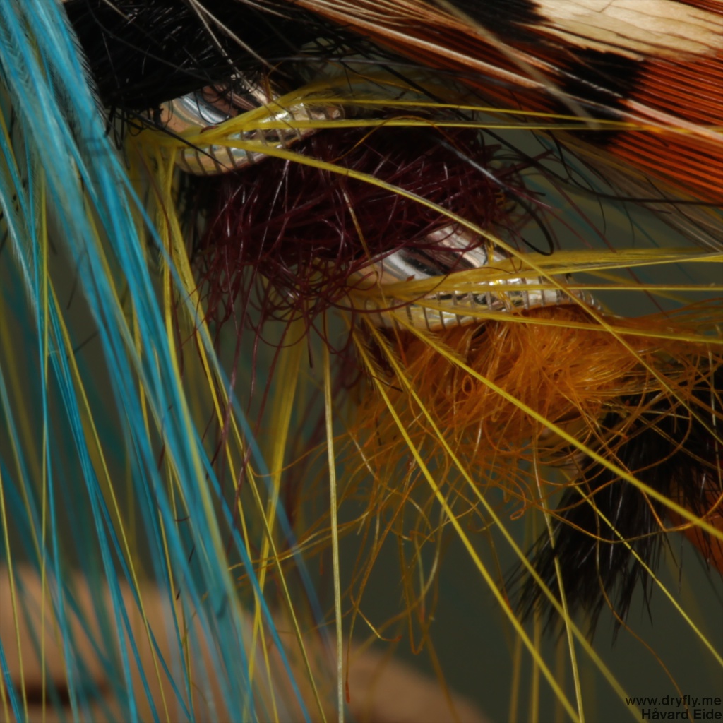 2014.12.62.kvitre.no.durham_ranger_close