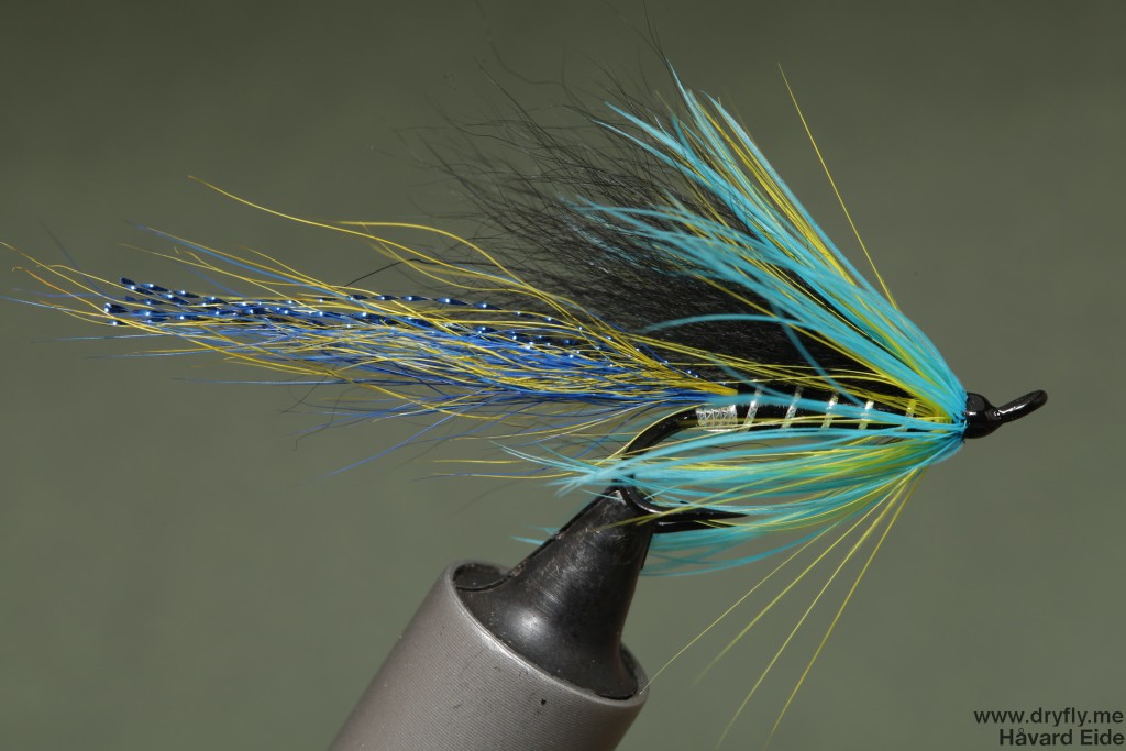 2015.01.03.dryfly.me.cascade_blue