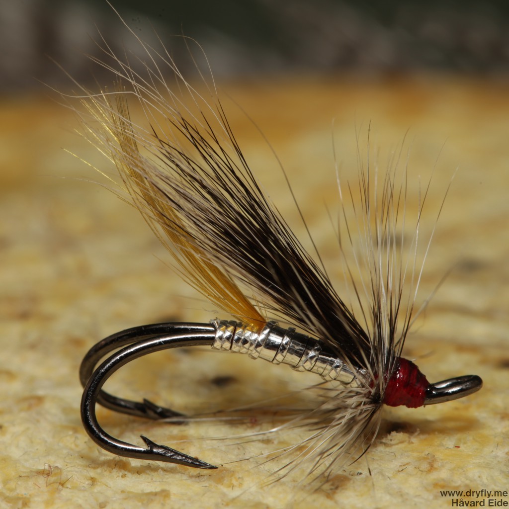 2015.01.05.dryfly.me.silver_rabbit_partridge_8