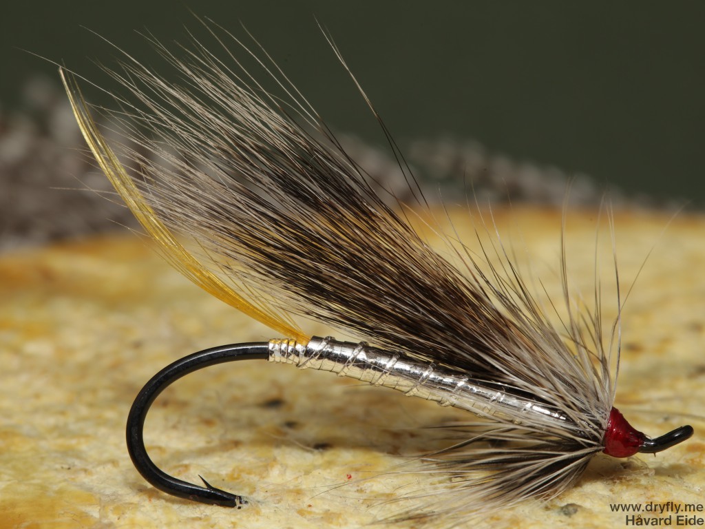 2015.01.06.dryfly.me.silver_rabbit_single_7999_1-0