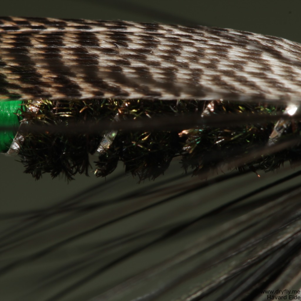 2015.01.24.dryfly.me.grey_but_spey_close