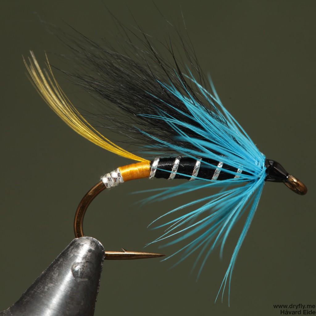 2015.01.26.dryfly.me.blue_wet