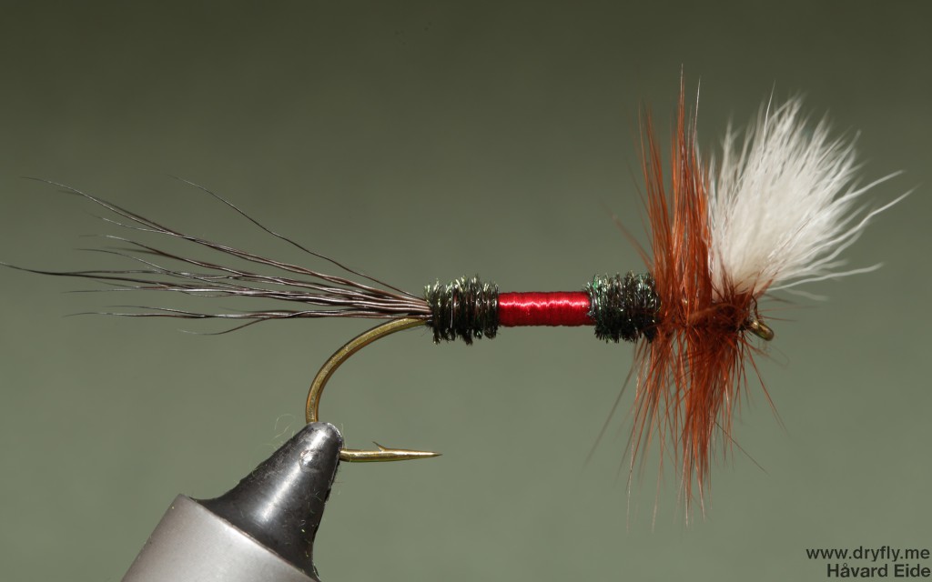 2015.02.03.dryfly.me.royal_wulff