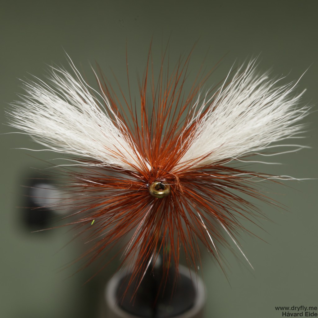 2015.02.03.dryfly.me.royal_wulff_front