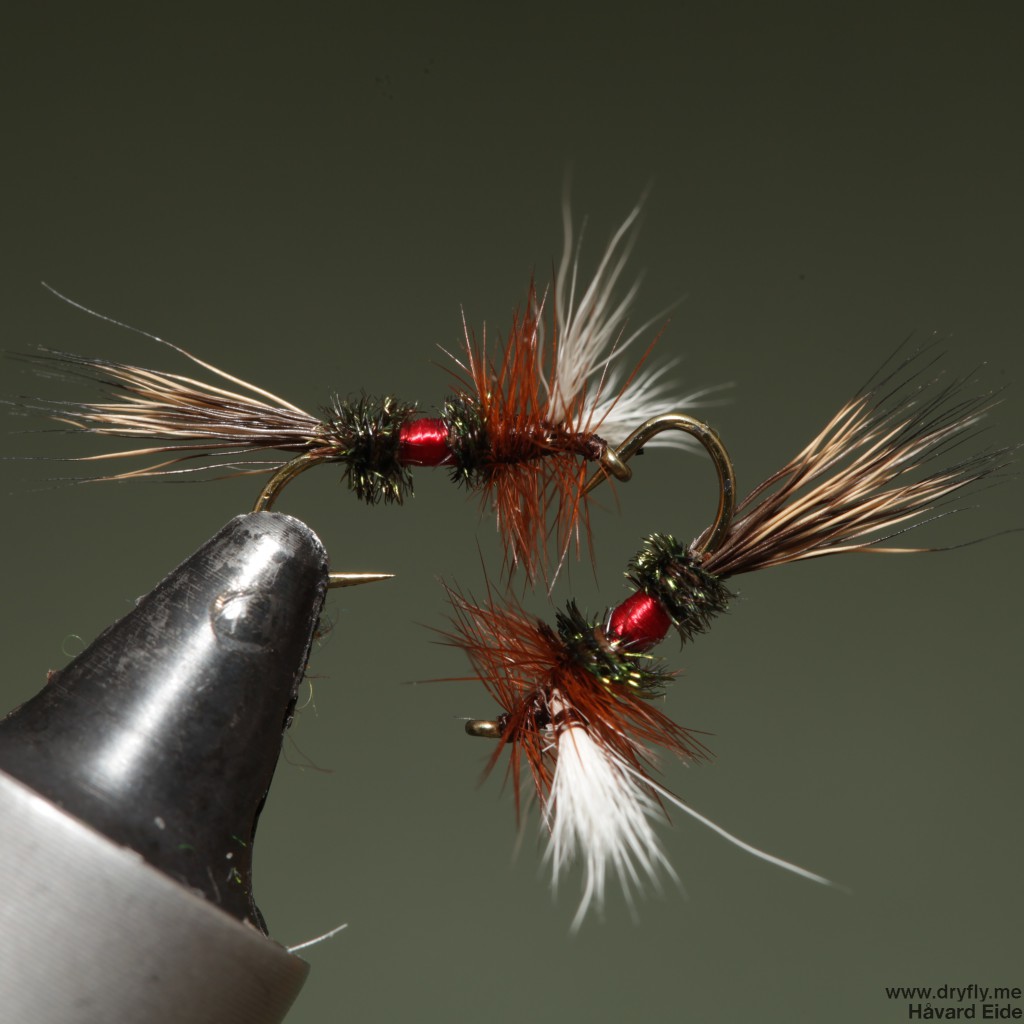 2015.02.07.dryfly.me.royal_wulf_16bl