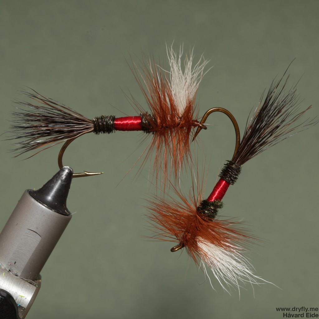 2015.02.07.dryfly.me.royal_wulf_2