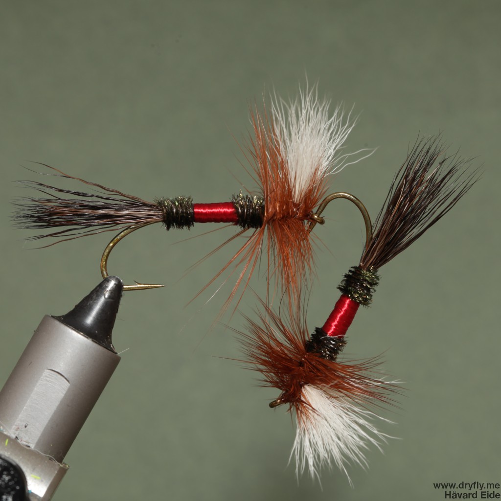 2015.02.07.dryfly.me.royal_wulf_4