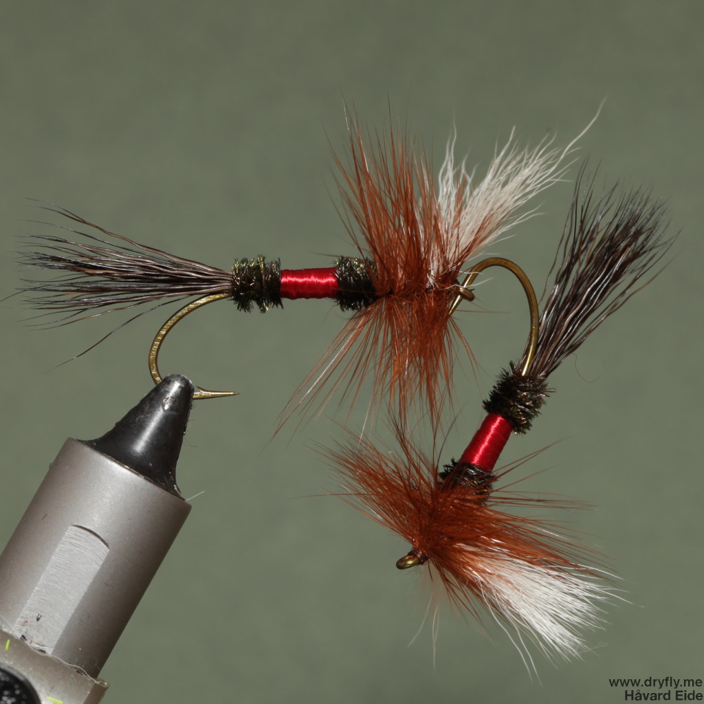 2015.02.07.dryfly.me.royal_wulf_6