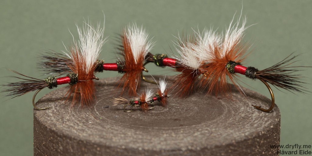 2015.02.07.dryfly.me.royal_wulf_family