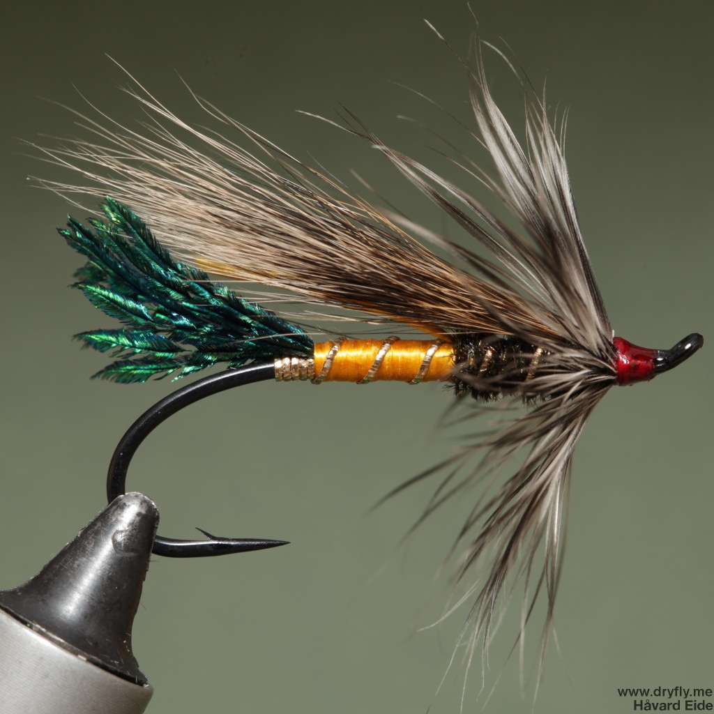 2015.02.08.dryfly.me.rusty_rat