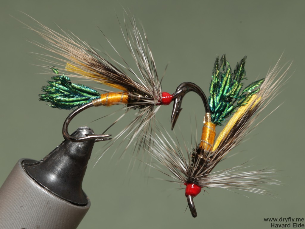 2015.02.14.dryfly.me.rusty_partridge_double
