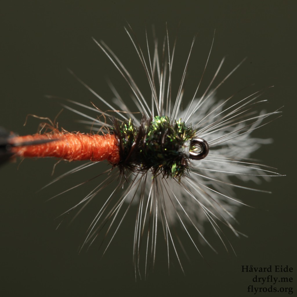 2015.05.02.kvitre.no.klinkhamer_orange_bottom