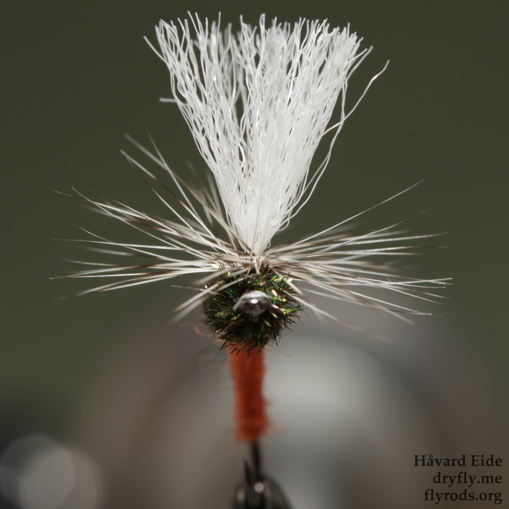 2015.05.02.kvitre.no.klinkhamer_orange_front