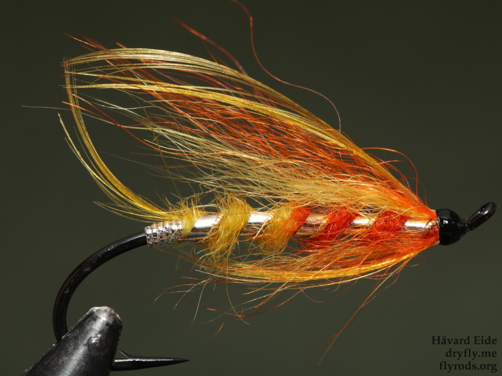 2015.05.10.dryfly.me.sunburst_polar