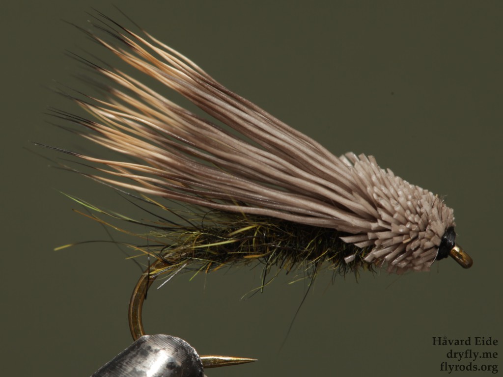 2015.06.01.dryfly.me.roe_caddis