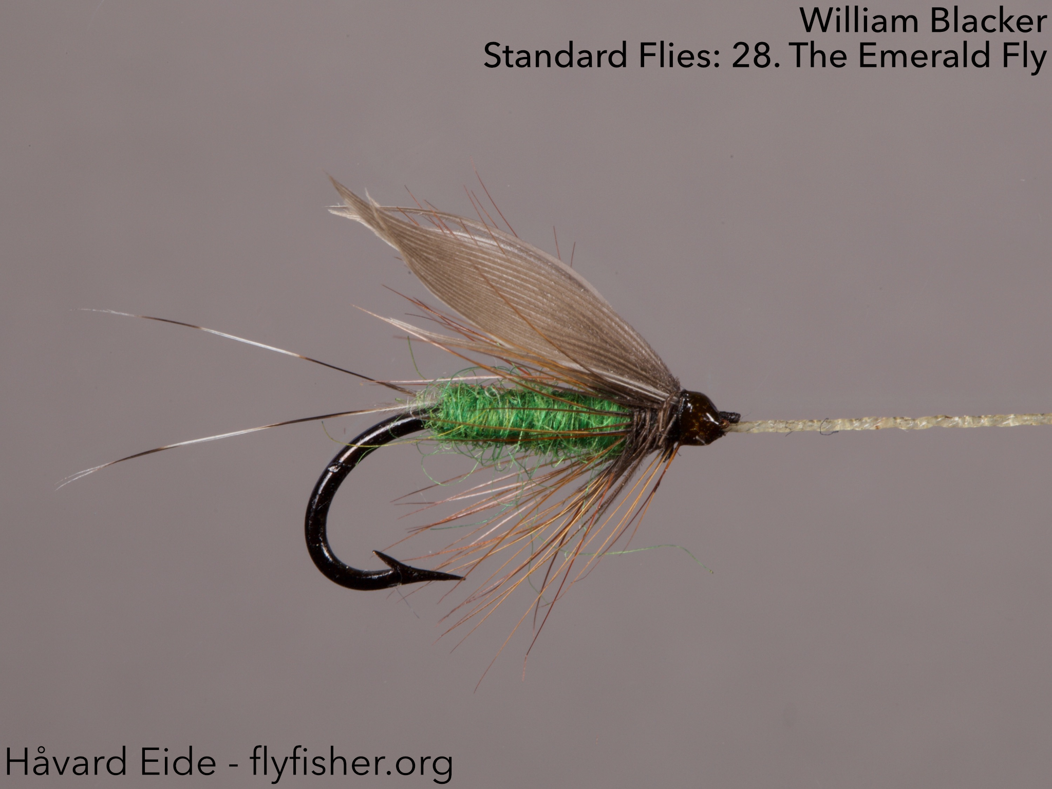 flyfisher.org | Flyfishing, flytying and hooks | Page 2